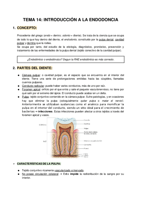 Miniatura del documento 14.-Introduccion-a-la-endodoncia.docx