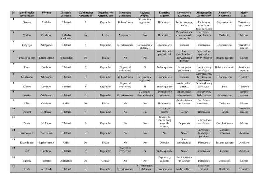Miniatura del documento Tabla-primera-practica-diversidad.docx