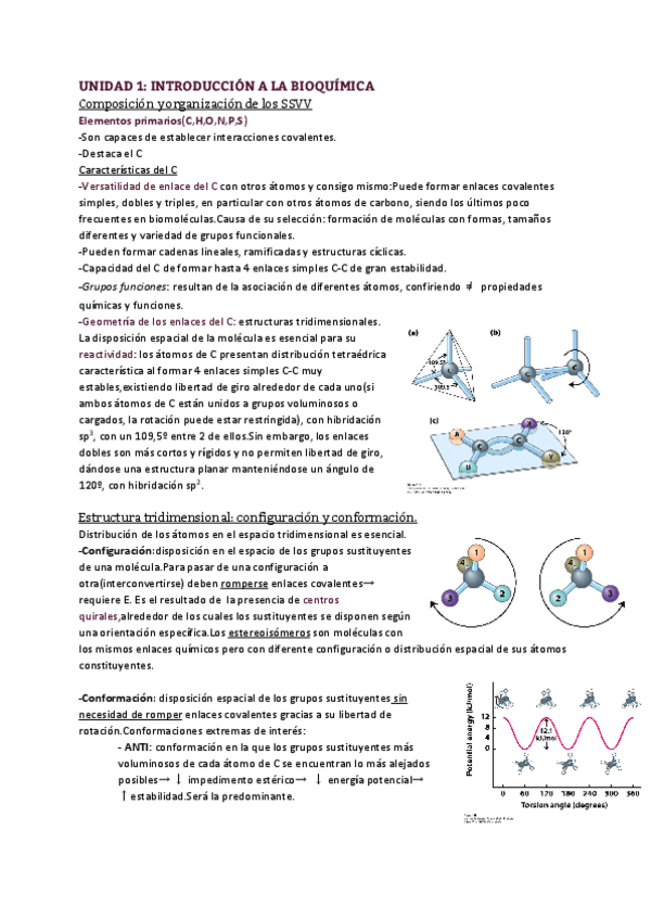 Miniatura del documento Unidad-1Introduccion-a-la-bioquimica.pdf