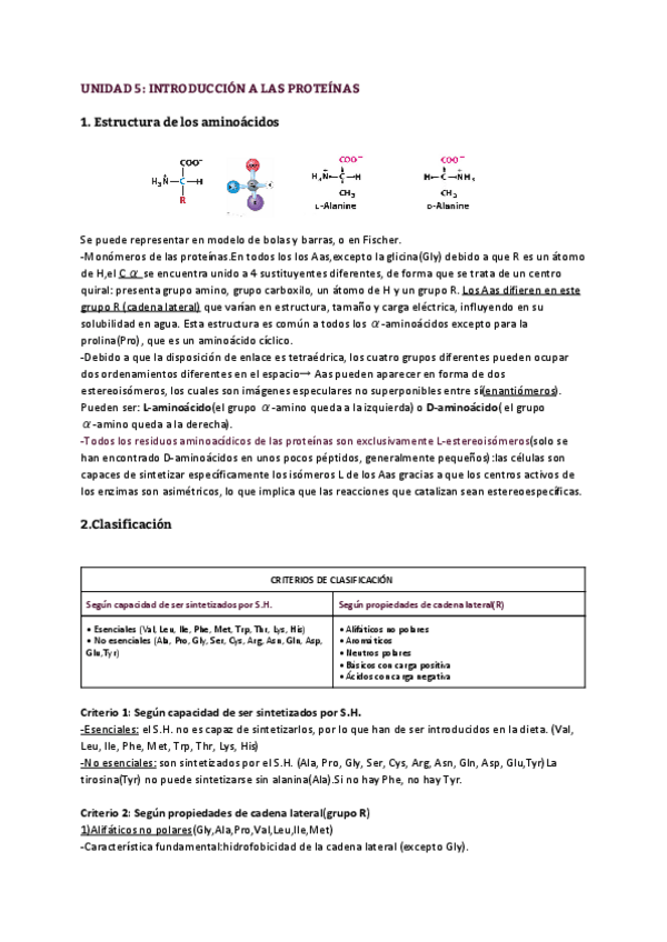 Miniatura del documento UNIDAD-5-INTRODUCCION-A-LAS-PROTEINAS.pdf