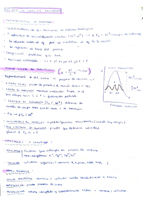 Miniatura del documento Unidad-10-Catalisis-enzimatica.pdf