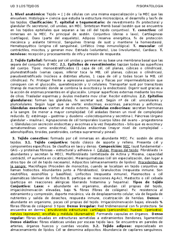 Miniatura del documento UD-3-Los-tejidos.docx