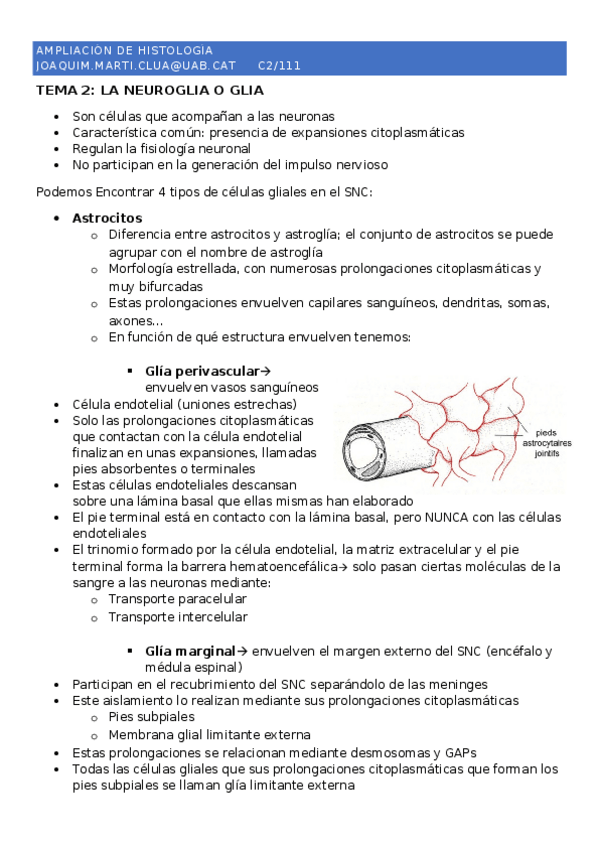 Miniatura del documento Ampl.docx