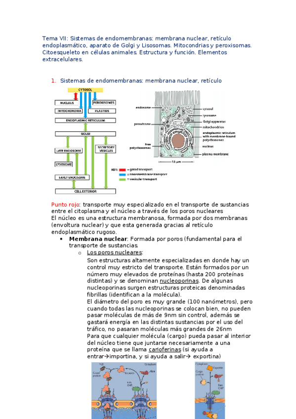 Miniatura del documento Tema-VII.docx