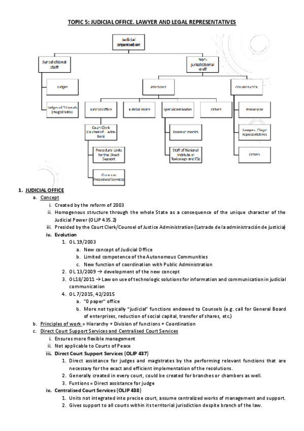 Miniatura del documento TOPIC-5-Lawyer-and-legal-representatives.pdf