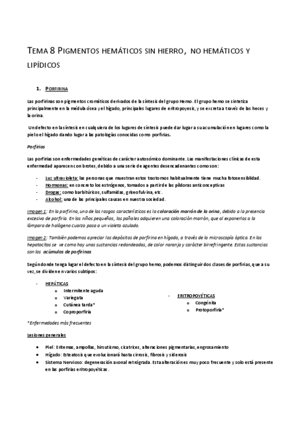 Miniatura del documento TEMA 8 AP. Pigmentos II.pdf