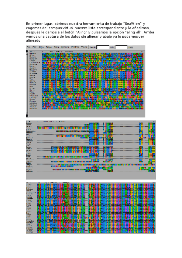 Miniatura del documento memoria-p2.docx