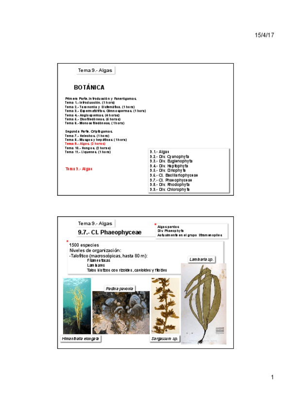 Miniatura del documento Tema-9B.pdf