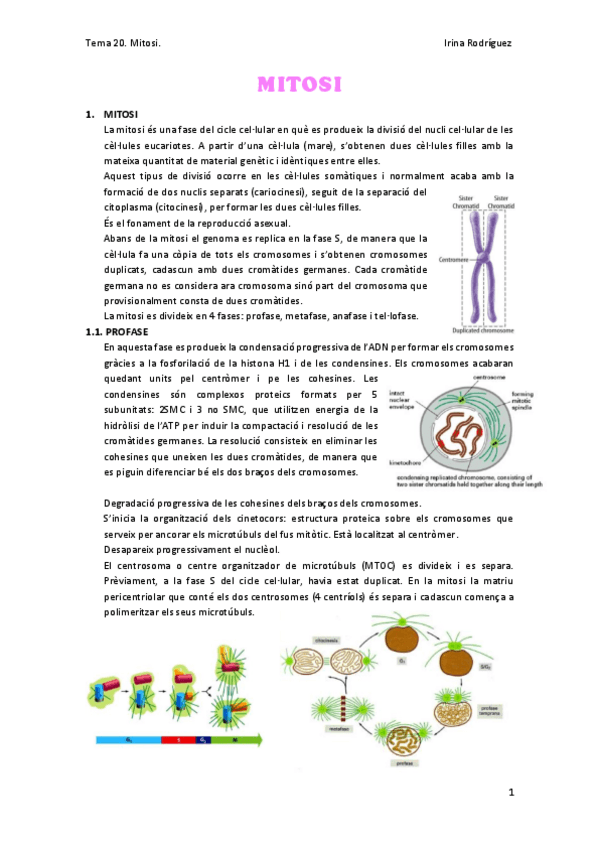 Miniatura del documento Tema-20.pdf