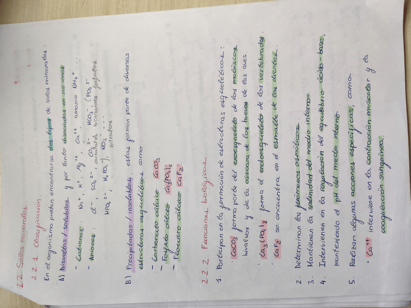 Miniatura del documento IMG20191013135449.jpg