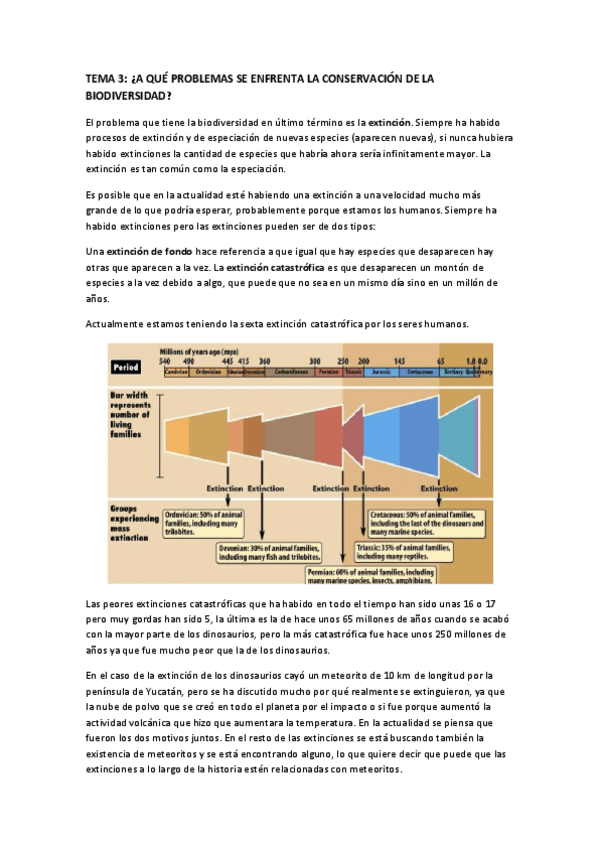 Miniatura del documento tema-3.pdf