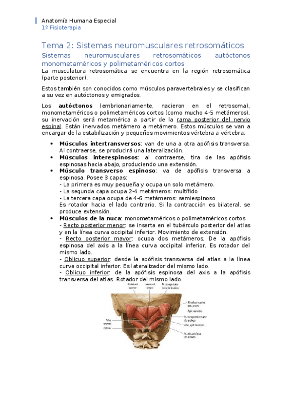 Miniatura del documento APUNTES-tema-2.docx