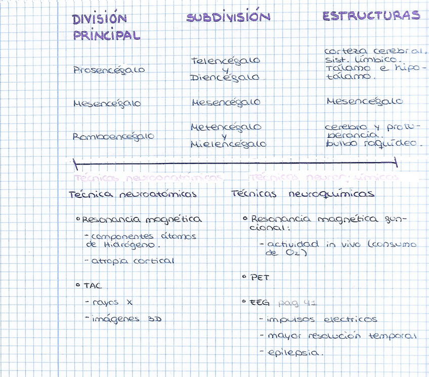 Miniatura del documento 75F17338-F2D7-49A5-8981-5613E9536978.jpg