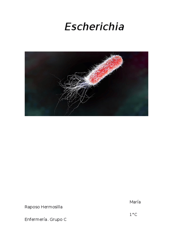 Miniatura del documento Escherichia.docx