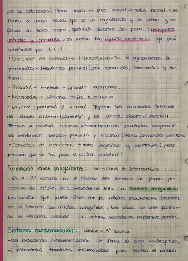 Miniatura del documento CD241D8D-7CE8-4826-8C5E-CF1E0224407F.jpg