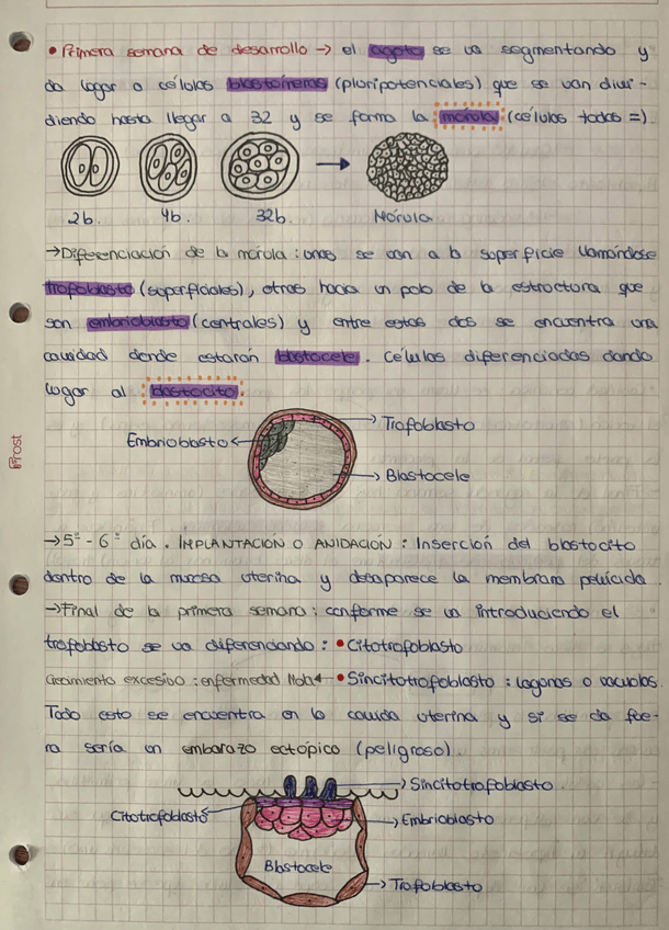 Miniatura del documento CB4169EA-6550-4319-9D0E-EBA55EE90A20.jpg