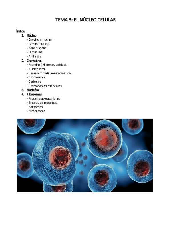 Miniatura del documento tema-3.pdf