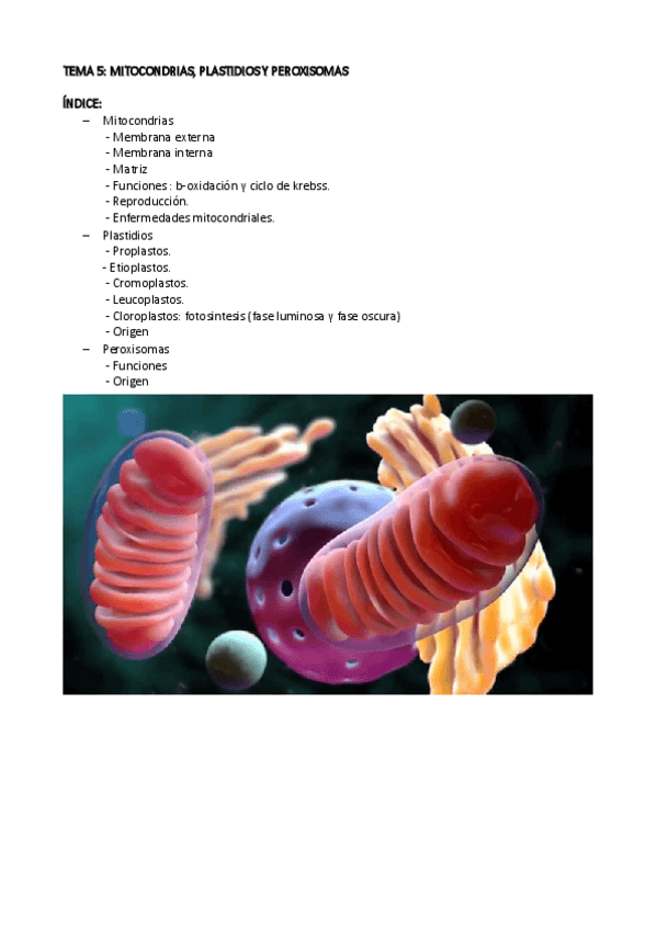 Miniatura del documento tema-5.pdf