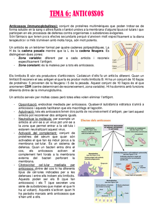 Miniatura del documento TEMA-6.pdf