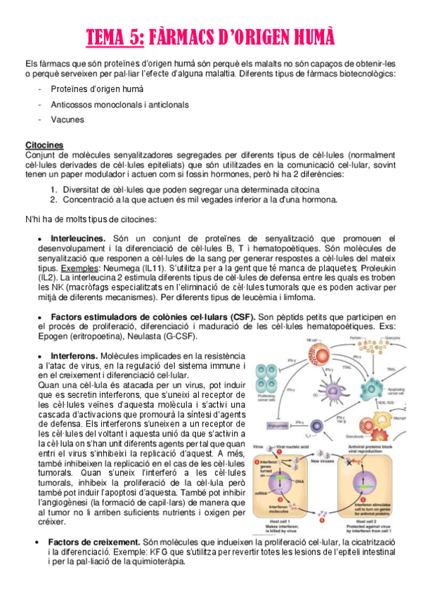 Miniatura del documento TEMA-5.pdf