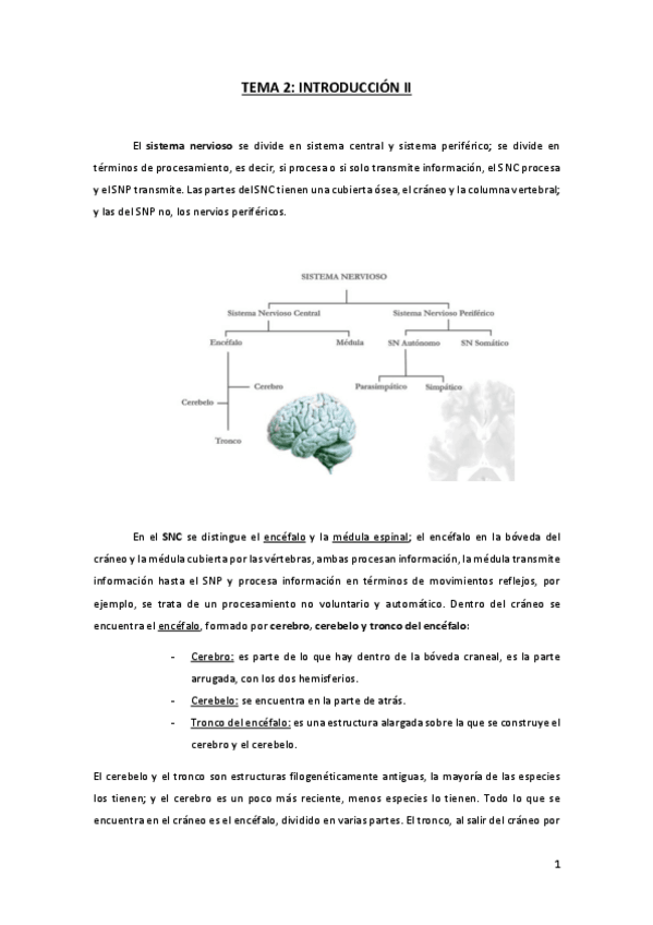 Miniatura del documento TEMA-2-FN.pdf