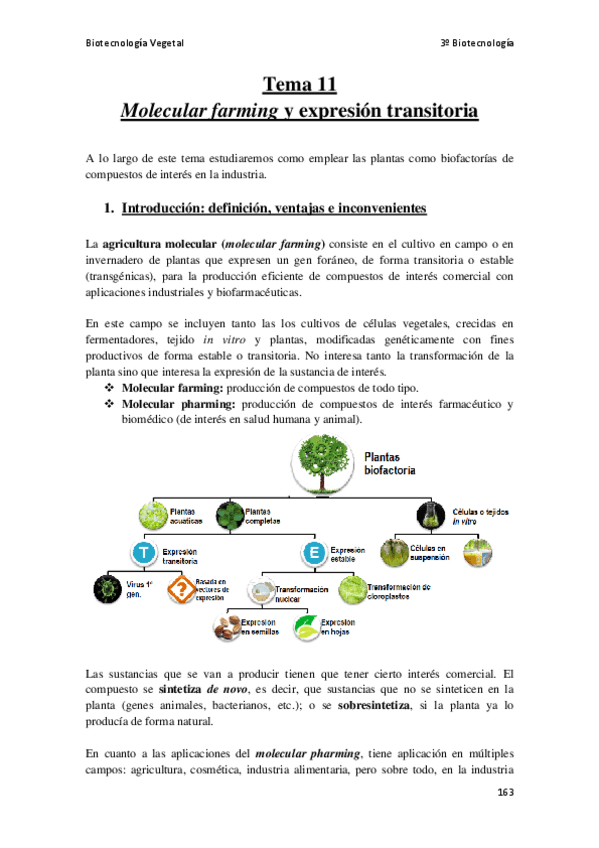 Miniatura del documento Tema-11.pdf