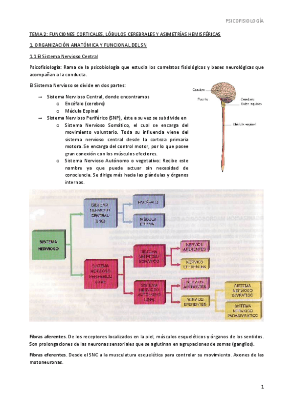 Miniatura del documento TEMA-2.pdf