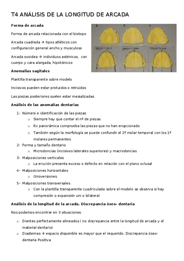 Miniatura del documento T4-ANALISIS-DE-LA-LONGITUD-DE-ARCADA.docx