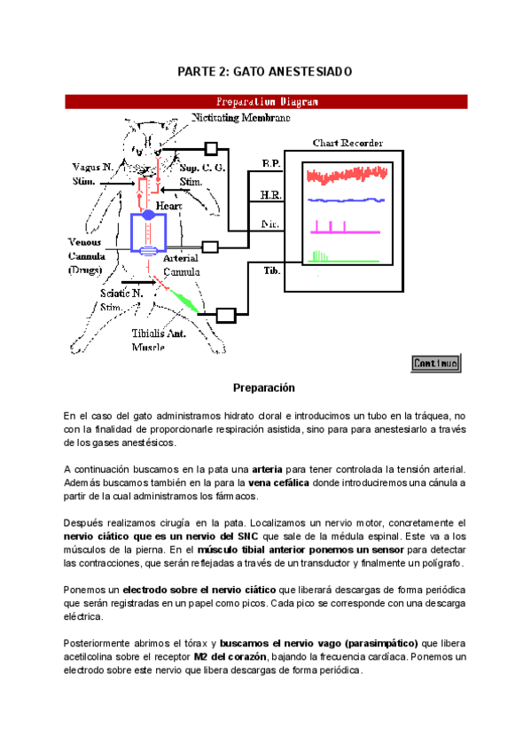 Miniatura del documento PARTE-2-GATO-ANESTESIADO.pdf