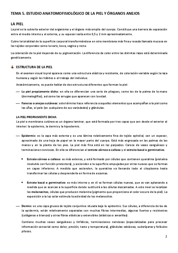 Miniatura del documento 5.pdf