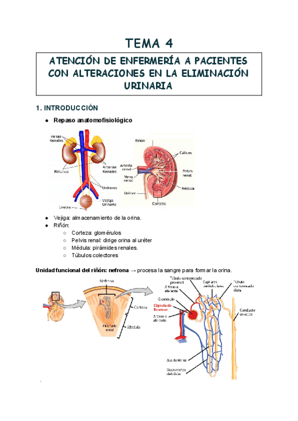 Miniatura del documento TEMA-4-3.pdf