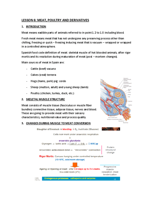 Miniatura del documento LESSON-6.pdf