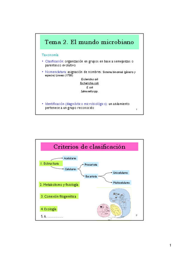 Miniatura del documento 1.pdf