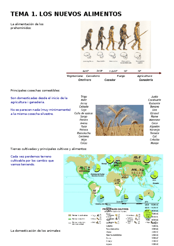 Miniatura del documento TEMA-1.docx