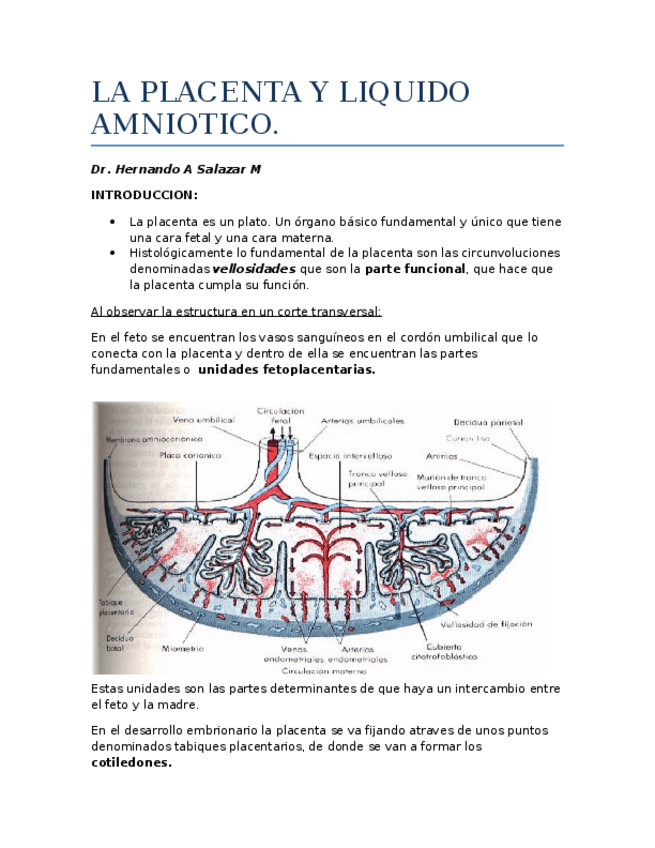Miniatura del documento 8.docx