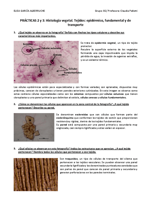 Miniatura del documento PRACTICA-II-y-III.pdf