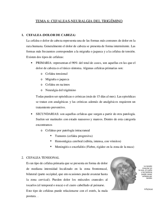 Miniatura del documento TEMA-6.pdf