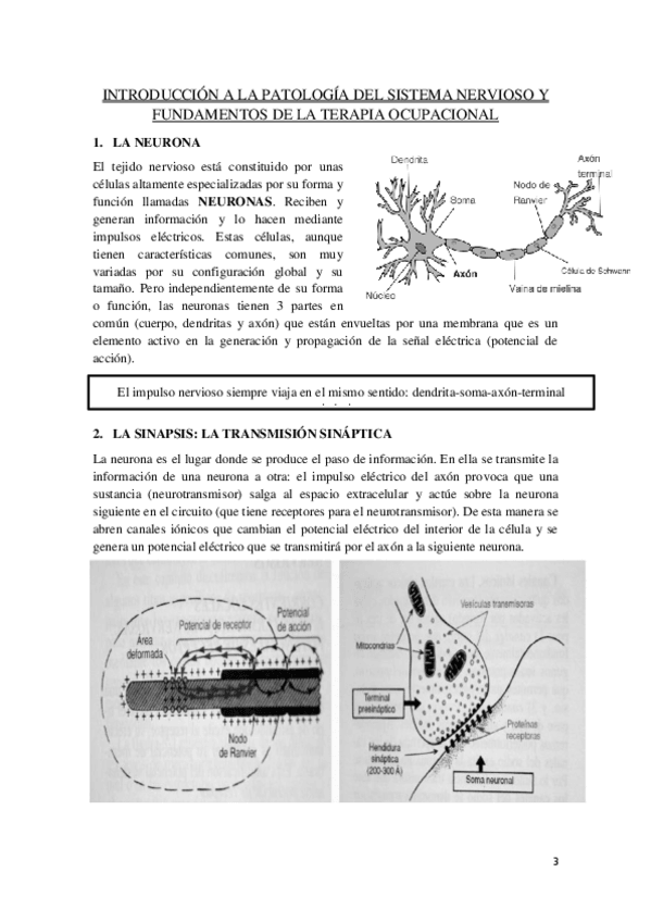 Miniatura del documento TEMA-1.pdf