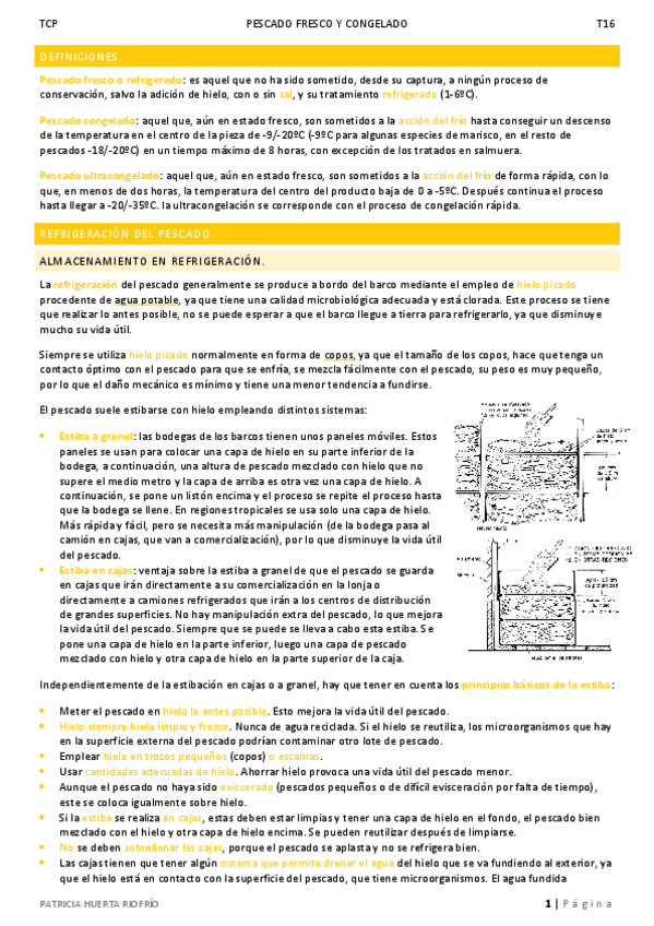 Miniatura del documento T16.pdf