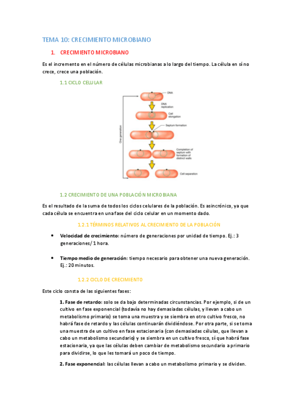 Miniatura del documento TEMA-10-apuntes.pdf
