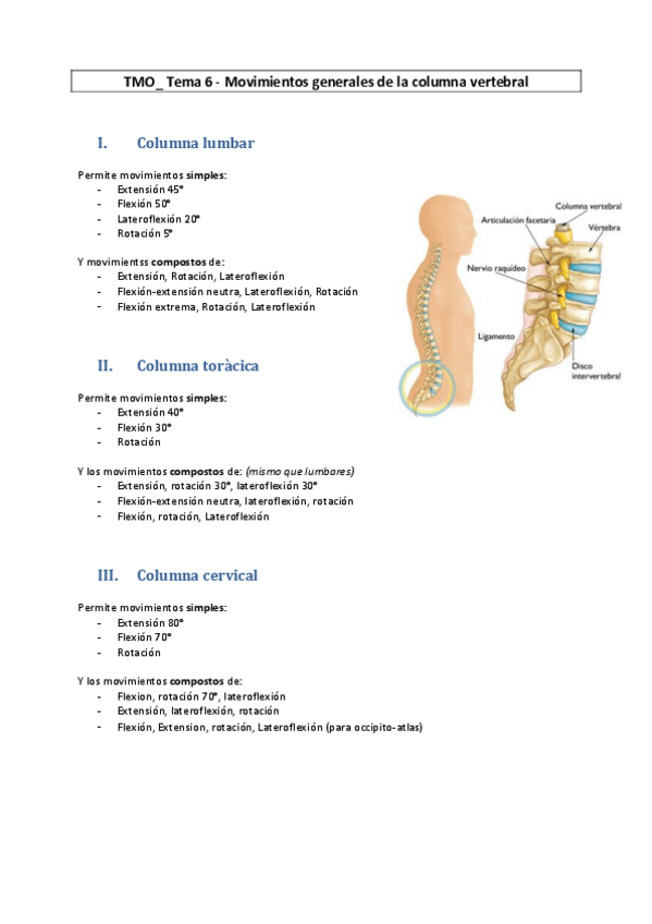 Miniatura del documento TMO-6-Movimentos-generales-de-la-columna-vertebral.pdf