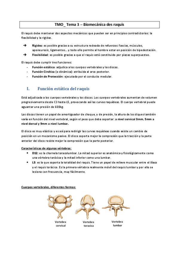 Miniatura del documento TMO-3-Biomecanica-del-raquis.pdf