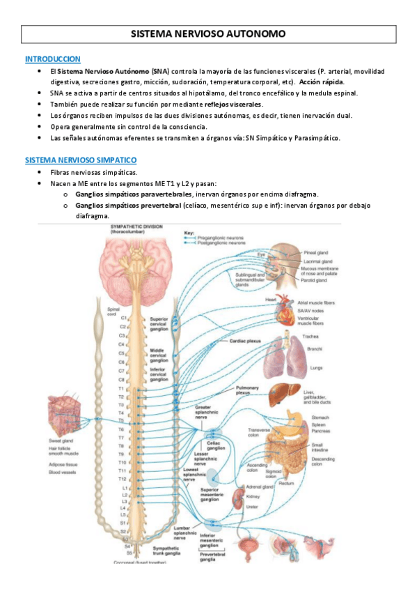 Miniatura del documento Fisiologia-3.pdf