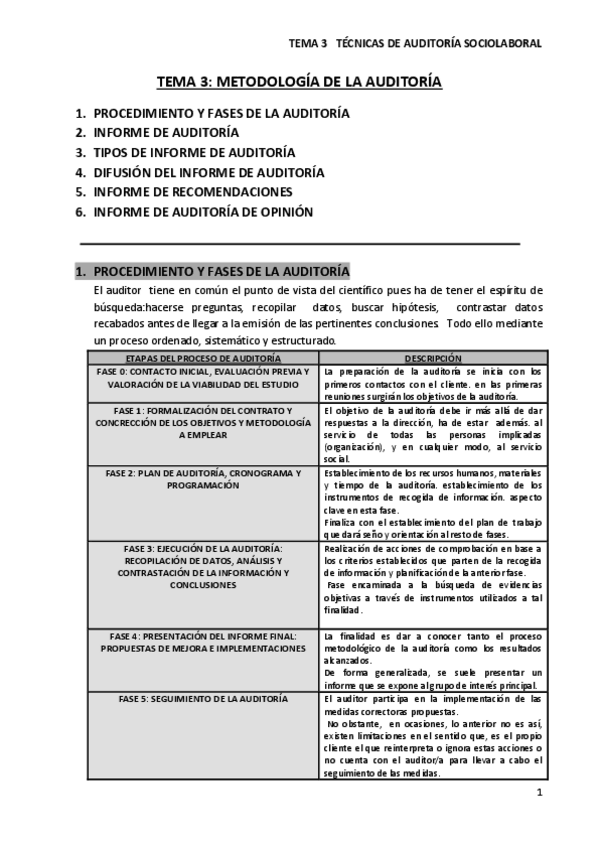 Miniatura del documento APUNTES TEMA 3 TÉCNICAS DE AUDITORÍA (33561).pdf