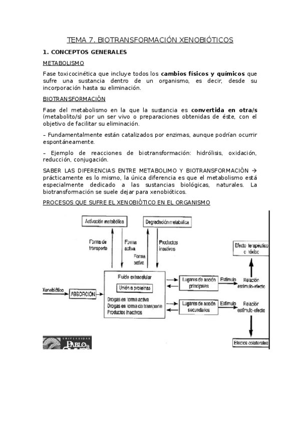 Miniatura del documento TEMA-7.docx