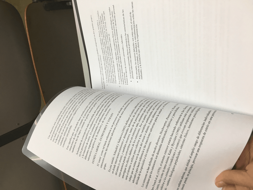 Miniatura del documento IMG3522.jpg