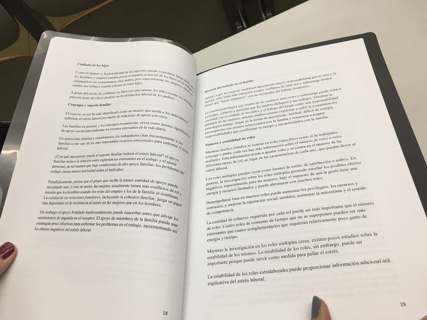 Miniatura del documento IMG3527.jpg