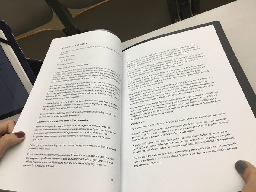 Miniatura del documento IMG3531.jpg