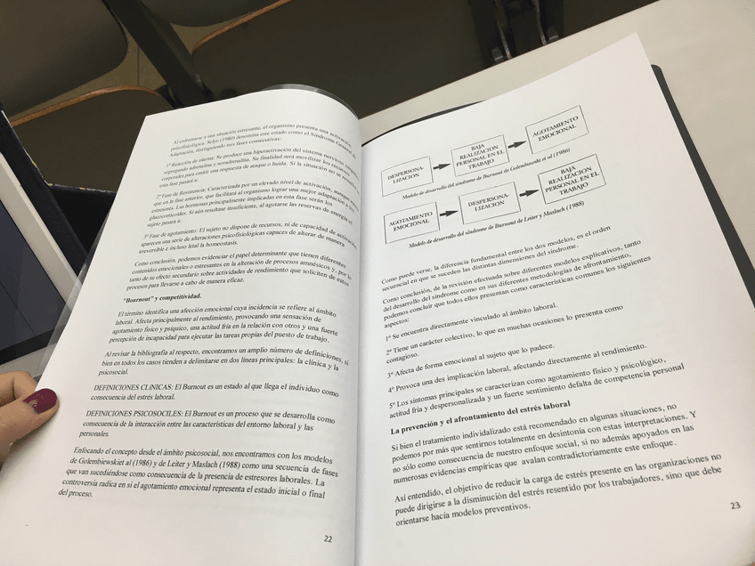 Miniatura del documento IMG3529.jpg