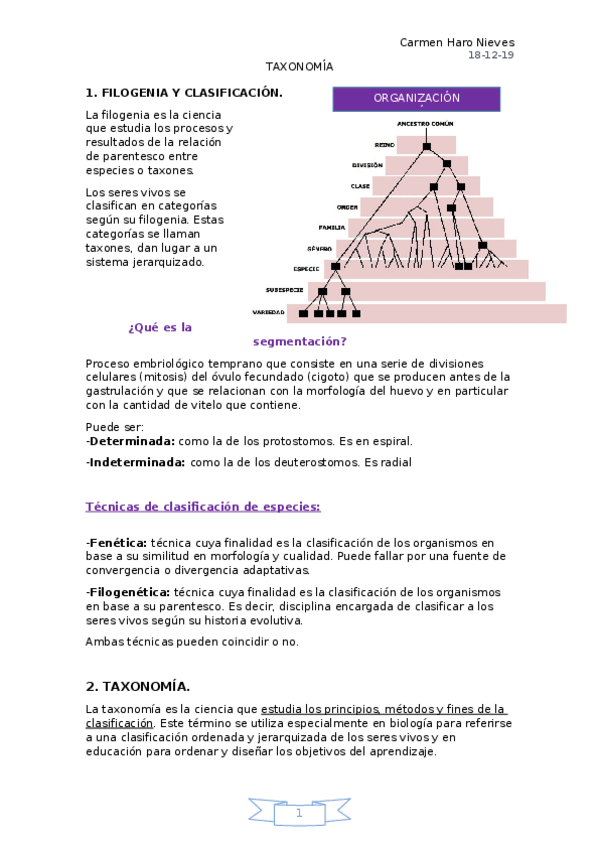 Miniatura del documento TAXONOMIA-Y-FILOGENETICA.docx